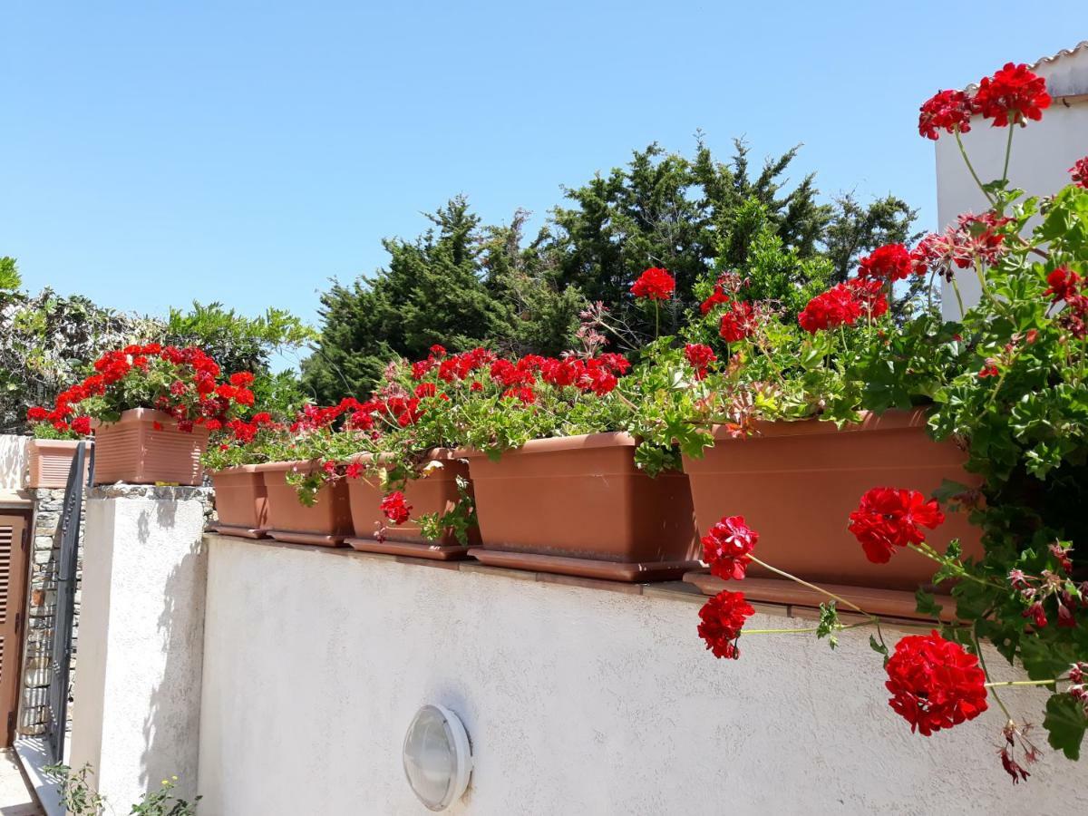 Villino Messina Apartment San Vito Lo Capo Exterior photo